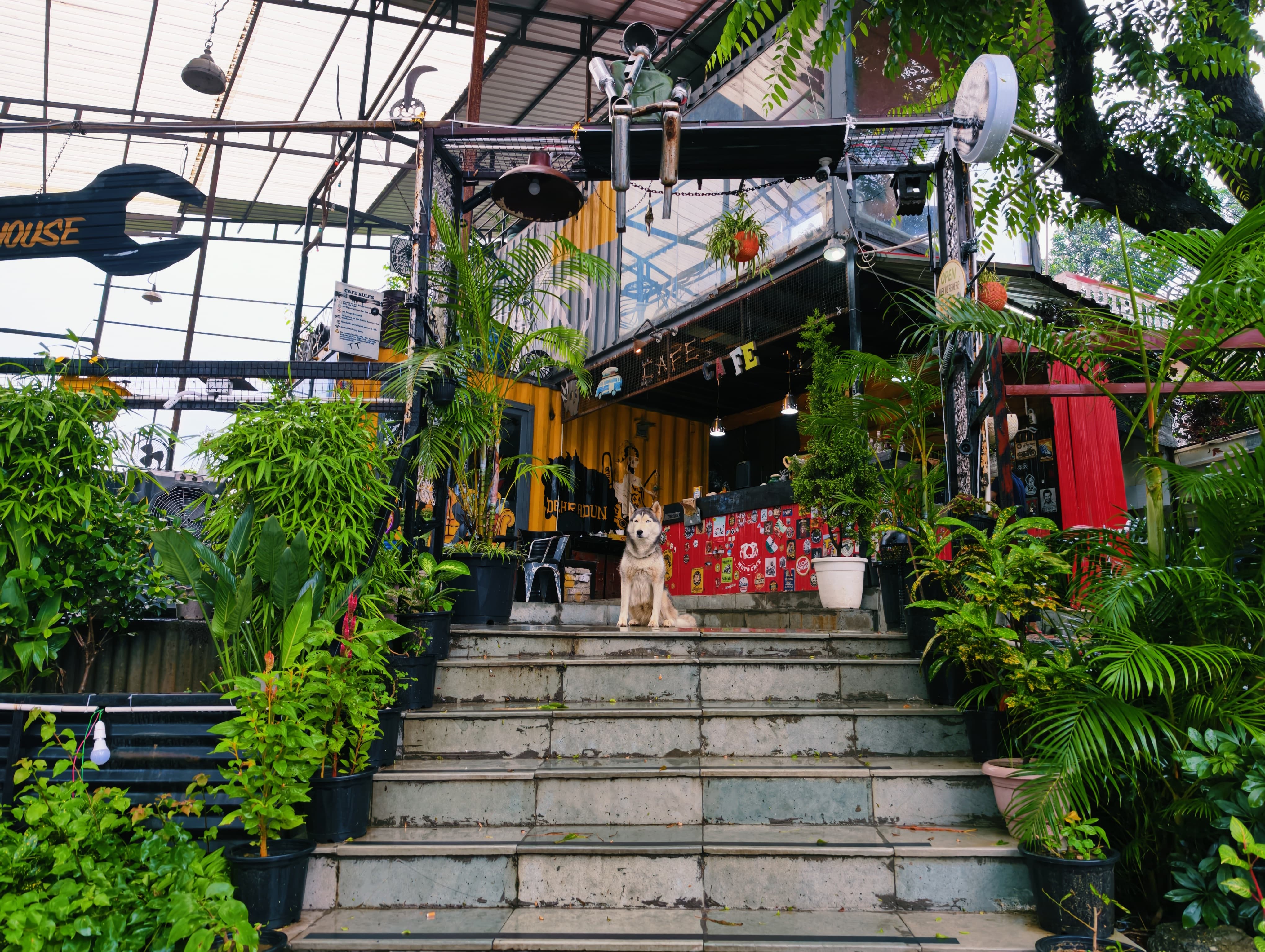 Best Cafes in Dehradun for Food